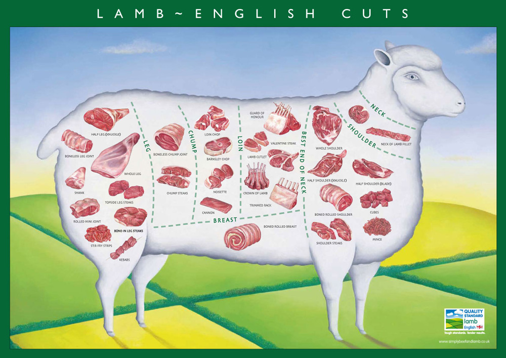 The many cuts of lamb